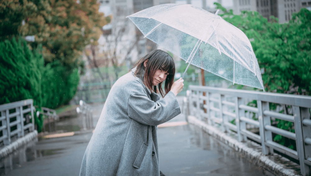 雨 の オファー 日 の 引っ越し アート